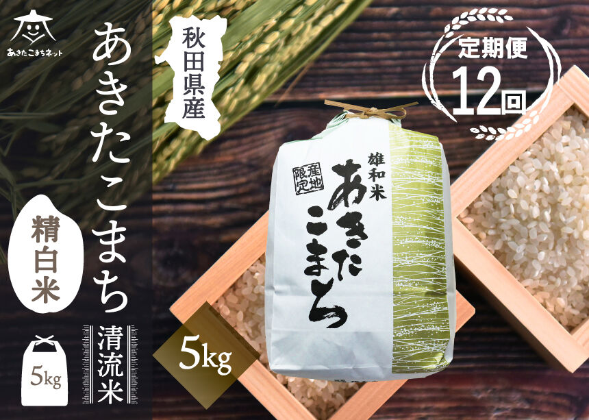 《定期便12ヶ月》あきたこまち 清流米 5kg【白米】 秋田市雄和産 [秋田県産 あきたこまち お米 精米 定期便 5kg 5キロ]
