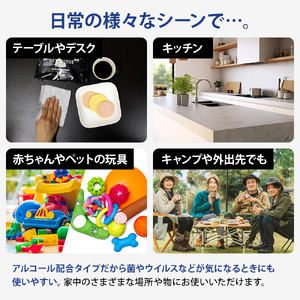 99.9％ 除菌ウエットティッシュ 60枚入40個セット（2400枚）