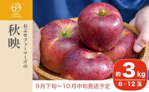 
             秋映 秀以上 約3kg 6～12玉 ［おぶせファーマーズ］ 果物 フルーツ りんご 林檎 リンゴ 長野県産 信州産 令和7年産 【2025年9月下旬〜10月中旬発送】 ［FH-82］
          