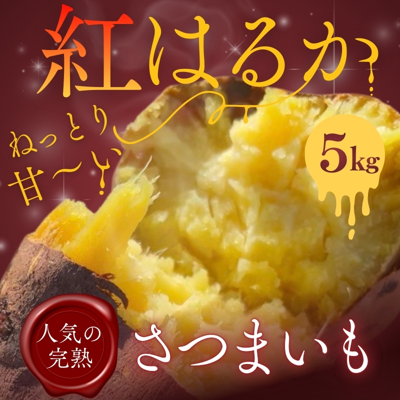 【2026年11月発送分先行予約！】紅はるか さつまいも 5kg ｜ 熟成 数量限定 甘い 焼き芋 バター焼き サラダ 天ぷら スイーツ スイートポテト 大阪 河内長野 中村オリジナルぶどう園 訳あり