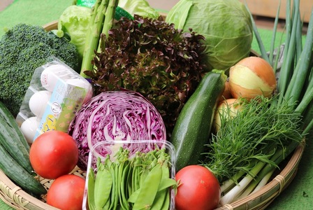 【先行受付：2026年発送】【10月発送】信州松本産・旬の野菜 おまかせセット（約10～12品） │野菜 やさい 旬 旬の野菜 新鮮 自然 セット 野菜セット 美味しい 長野県 信州 松本 ふるさと納