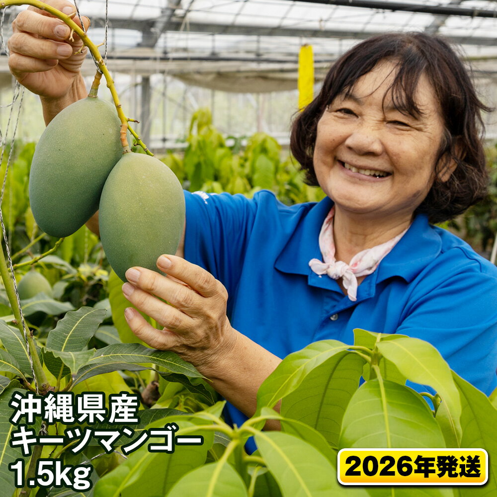 【ふるさと納税】【2026年発送】沖縄県産キーツマンゴー1.5kg