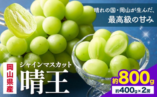 【先行予約】 岡山県産 シャインマスカット 晴王 計 800g 2房 株式会社はちや《7月上旬‐8月下旬頃出荷》岡山県 浅口市 ぶどう 葡萄 フルーツ ギフト 果物 デザート 国産【配送不可地域あり】