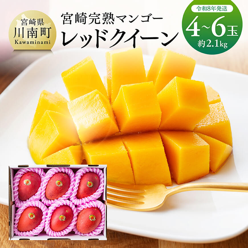 【令和8年発送】宮崎県産完熟マンゴー　「レッドクイーン」4～6玉 果物 フルーツ マンゴー 宮崎県産 完熟マンゴー みやざきマンゴー 先行予約 数量限定 期間限定