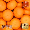 【ふるさと納税】みかん 愛媛 伊予柑 L～2Lサイズ（約10kg） 人気 数量限定 柑橘 伊予市｜B161