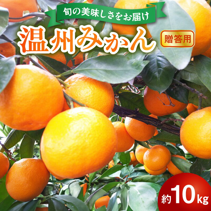 【ふるさと納税】【令和8年熊本地震復興支援】 贈答用 温州みかん 約 10kg 1箱 進栄 柑橘 果実 常温 果物 ビタミンC 豊富 みかん 旬 国産 フルーツ デザート 熊本 九州 食品 お取り寄せ お取り寄せフルーツ 送料無料【熊本県宇土市】