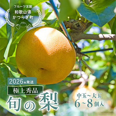 先行予約!　旬の梨　極上秀品(中玉～大玉)6～8個入り　2026年8月中旬頃から発送【配送不可地域：離島】【1576596】