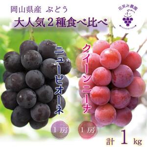 岡山　花笑み農園の『ニューピオーネ＆クイーンニーナ』1kg(2房)　PQ-1【9月中旬～順次発送】【配送不可地域：離島】【1629357】