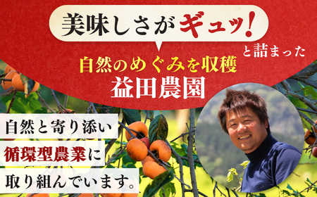 【なら育ち 益田農園】たねなし柿　訳アリ　約1.5kg(5玉～9玉） | 果物 柿 わけあり