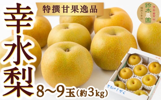 【先行予約】鈴木農園 特選甘果逸品 幸水梨 8玉から9玉 （約3kg） 【2026年8月上旬より順次発送予定】 梨 なし ナシ 幸水 果物 くだもの フルーツ 果実 お取り寄せ 福岡県 うきは市 冷蔵