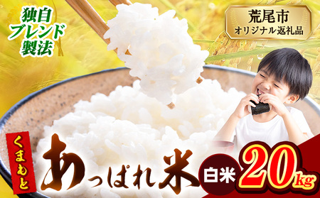  熊本県産 くまもとあっぱれ米 20kg  熊本県産 ふるさと納税 白米 精米 米 こめ ふるさとのうぜい コメ お米 おこめ《7-14日以内に出荷予定(土日祝除く)》