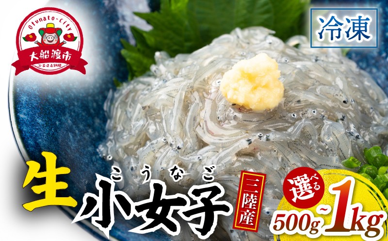 
                  生 小女子(こうなご) 三陸産 数量限定 冷凍 刺身 生食 選べる容量 500g 1kg 小分け 刺身用 生食可能 小女子 コウナゴ 新子 しんこ イカナゴ 稚魚 新鮮 海鮮 魚介 国産 取り寄せ グルメ 急速冷凍 岩手 三陸 大船渡 岩手県 大船渡市 
                