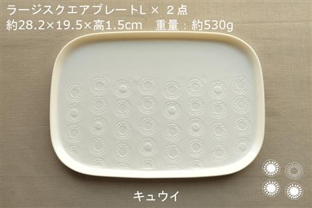 【美濃焼】ラージスクエアプレート L ペアセット 2枚 キュウイ×シード【カネ一古林商店】[MEG011]