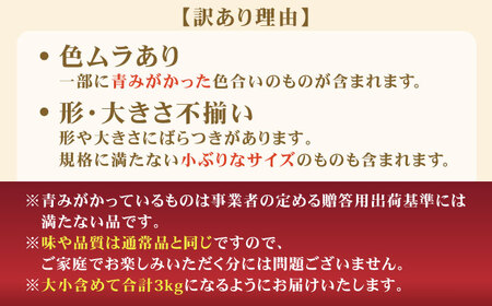 【先行予約】【訳あり】 プリンセスマンゴー 不揃い3kg [QAT015] マンゴー
