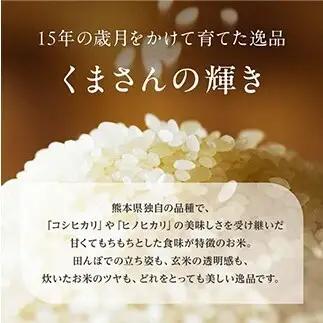 FK7-0274_【5カ月定期】【嘉島町産】くまさんの輝き 10kg 米 お米 コメ ごはん ご飯 食品 九州 熊本県 熊本 嘉島