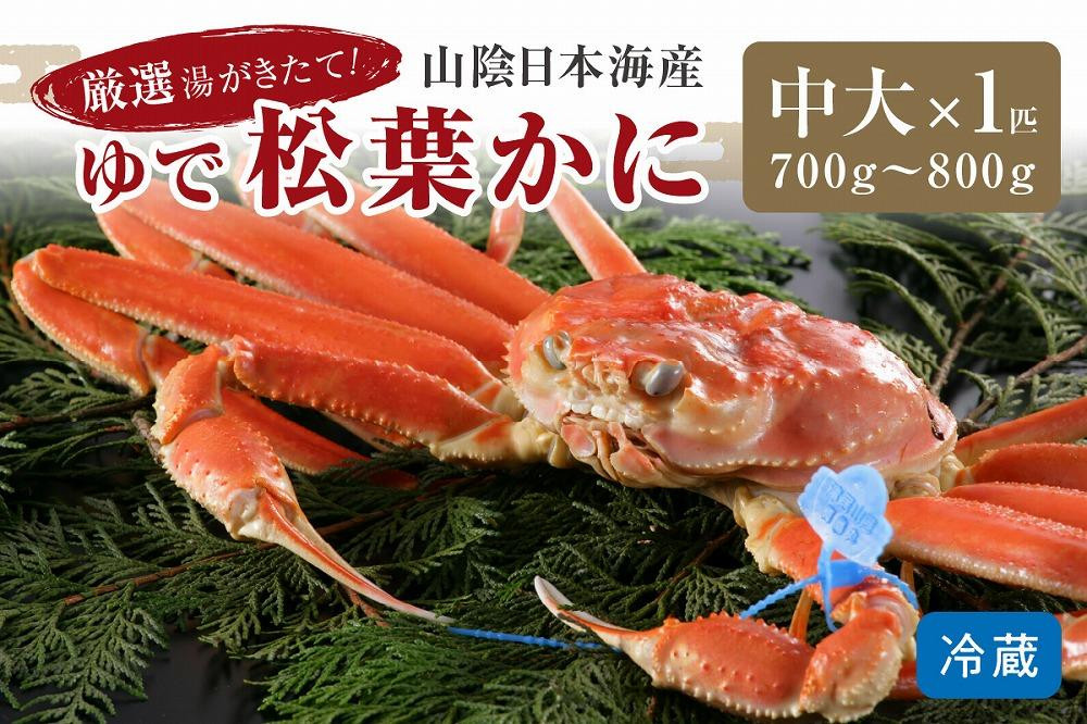 
            【1～3月発送】厳選湯がきたて！山陰日本海産ゆで松葉かに　700g～800g中大サイズ/北畿水産 松葉ガニ 松葉蟹 松葉がに 松葉かに ズワイガニ ボイル カニ 姿 ゆでかに　HK00193
          