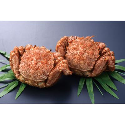 ふるさと納税 厚岸町 北海道厚岸産　浜茹で毛がに　500g〜550g×2尾