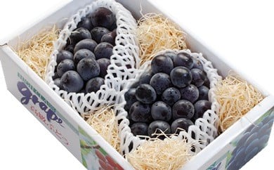 07-02-013　ぶどう(種なしピオーネ)1.5kg