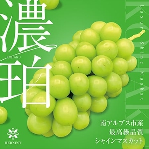 ＜2026年発送先行予約＞山梨県南アルプス市産シャインマスカット　濃珀【～KOHAKU～】約1.8ｋｇ　3～5房入り ALPAH026