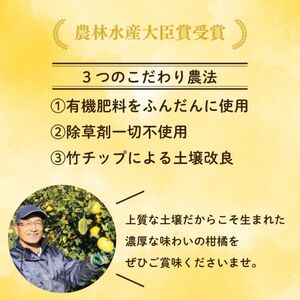 【先行予約】【発送期間：2026年10月～なくなり次第終了】【贈答用】愛媛みかん 3kg みかん