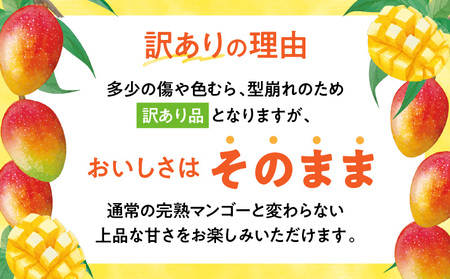 【期間・数量限定】宮崎県産訳あり完熟マンゴー1.2kg(3～4玉) マンゴー フルーツ 果物