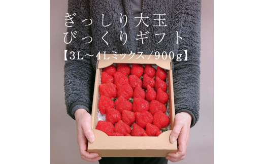 
                  【2027年1月～4月出荷分予約販売】★身近な人間関係のお祝いに★「完熟あまおう」3L～4Lミックス詰め合わせ 900g入り【あまおう 完熟 いちご 苺 イチゴ くだもの 果物 フルーツ 大粒 900g ご当地 ブランド ギフト 人気 おすすめ 送料無料 福岡県 大川市 AA051】
                