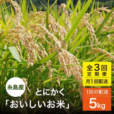 ふるさと納税 糸島市 【全3回(月1)定期便】とにかくおいしいお米  5kg 糸島市 シーブ [AHC047]
