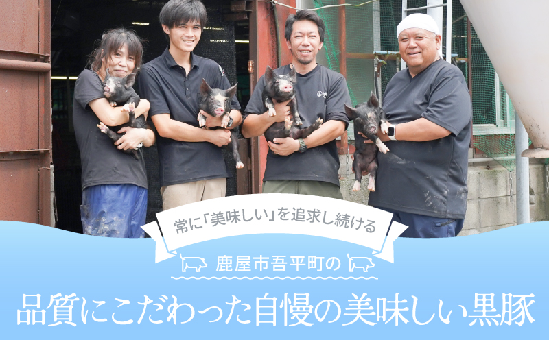 2299 鹿児島黒豚 ミンチ（ひき肉） 1.5kg（500g×3パック）　KN054-011