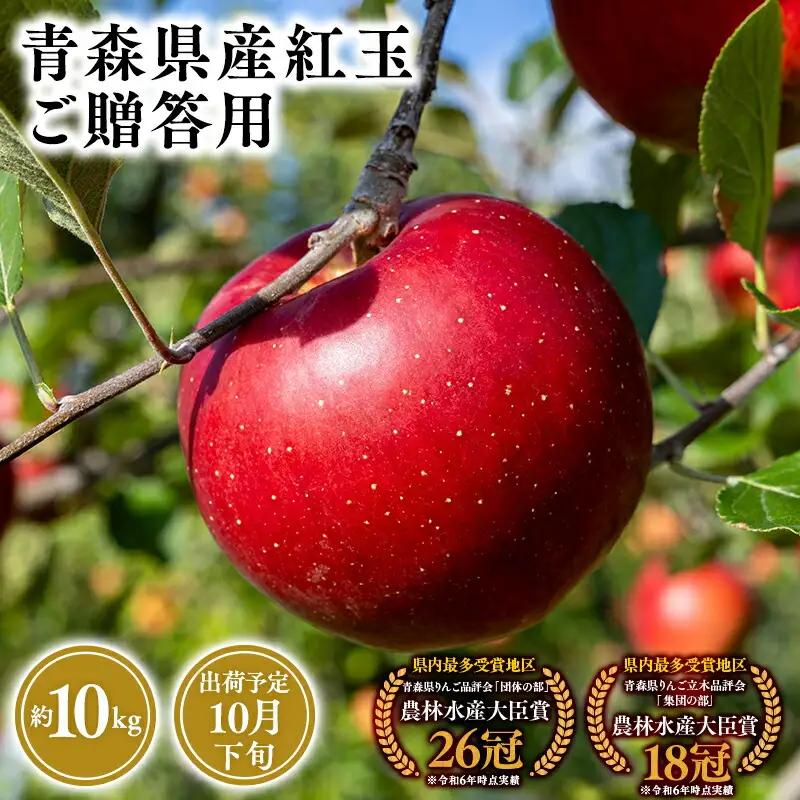 りんご 紅玉 贈答用 10kg りんご りんご