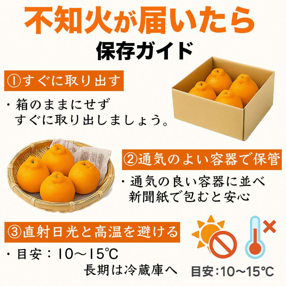 【先行予約】 不知火 デコみかん (デコポン同品種) 約10kg (24～48玉) フルーツ くだもの 果物 みかん ミカン おやつ デザート 旬 熊本県 八代市 【2027年2月上旬より順次発送】_