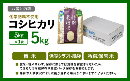 【令和5年産】 化学肥料不使用コシヒカリ 精米5kg（5kg×1袋）/ 白米 米 福井県あわら市産 美味しい 特別栽培米 減農薬 安心な米 旨味 甘み もっちり エコファーマー こしひかり 冷蔵保管米