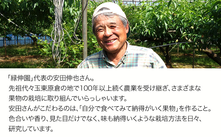 『緑伸園』の旬の梨 約5kg《8月中旬-9月下旬頃出荷》 旬の品種をお届け 予約受付中  6-13玉前後入り 【ふるさと納税】 梨 フルーツ  旬 豊水 あきづき 新高