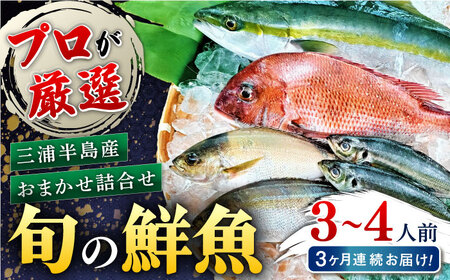 【全3回定期便】旬のおまかせ 厳選鮮魚セット 3~4人前(2~3魚種) 魚 鮮魚 さかな 魚 鮮魚 さかな 魚 【長井水産株式会社】 [AKAJ015]