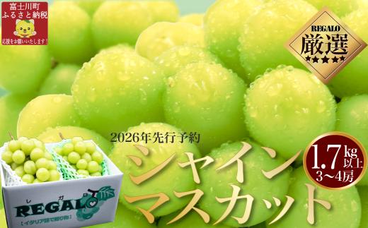 【2026年発送分 先行予約】頬張る幸福感　～緑の宝石・シャインマスカット～　１．７ｋｇ以上（３～４房） フルーツ 山梨県産 果物 シャイン マスカット ぶどう ブドウ 大粒 種なし 種無し 先行予約 富士川町