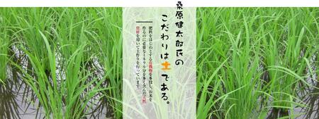 令和8年産 魚沼産コシヒカリ ダイヤモンド褒賞受賞 特別栽培米 5kg×1袋 新潟県 |津南町 魚沼