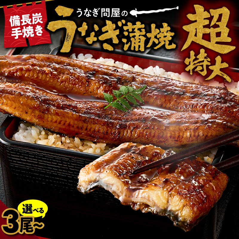 【ふるさと納税】＜選べる＞うなぎ問屋の備長炭手焼 うなぎ蒲焼 超特大 3尾 4尾 計750g 計1000g 特製タレ 山椒付き うなぎ ウナギ 惣菜 総菜 魚類 魚貝類 魚介類 鰻重 ひつまぶし 鰻丼 土用の丑 魚 冷凍 大隅うなぎ販売 鹿児島 鹿屋市 おすすめ ランキング プレゼント ギフト