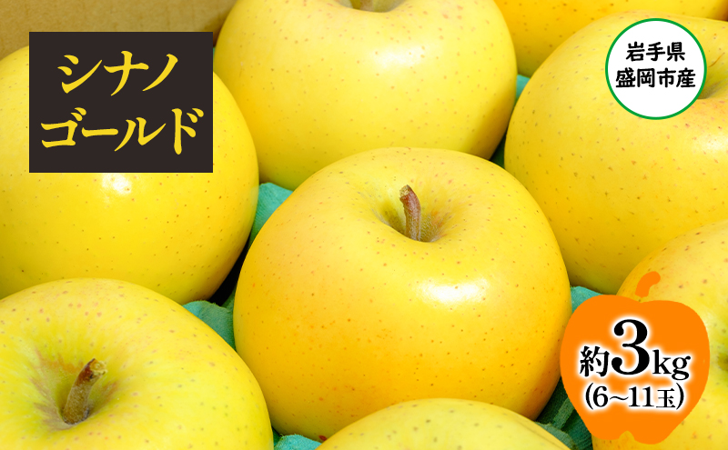 盛岡から「農で人をつなぐ」藤与果樹園：シナノゴールド3kg フルーツ 果物 旬のフルーツ 旬の果物 旬 冬 岩手 盛岡 産地直送 玉数指定不可 詰め合わせ 岩手 盛岡