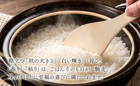 つや姫無洗米  6kg