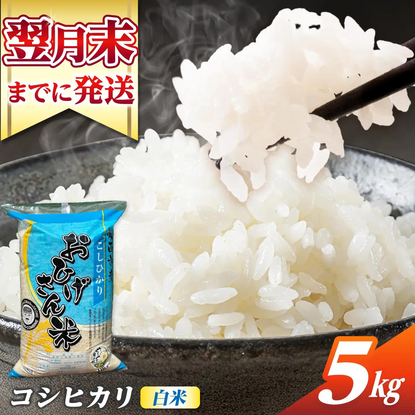 コシヒカリ 白米 5kg [AECP021-12] コシヒカリ