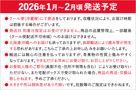 あまおうプレミアム　※2025年1月～2月頃発送予定　BD02