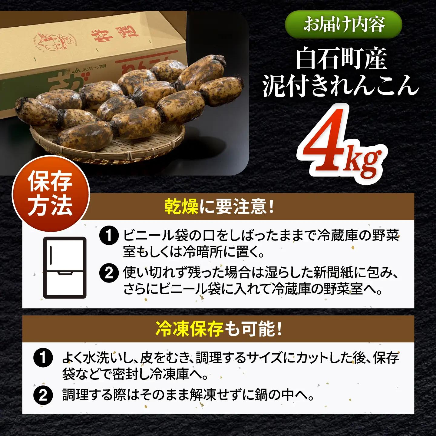 【先行予約 2026年10月～発送】白石町産 泥付きれんこん （4kg） / れんこん [IAK015]