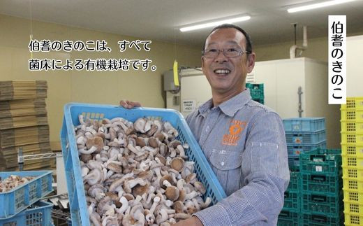 森くらげコスメセット