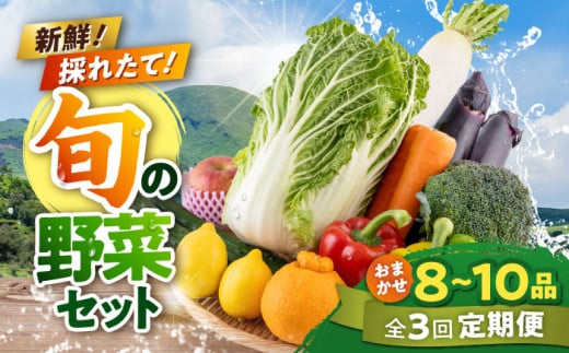 【全3回定期便】旬な野菜おまかせ詰め合わせセット【合志物産販売 志来菜彩】 [AYCA003]