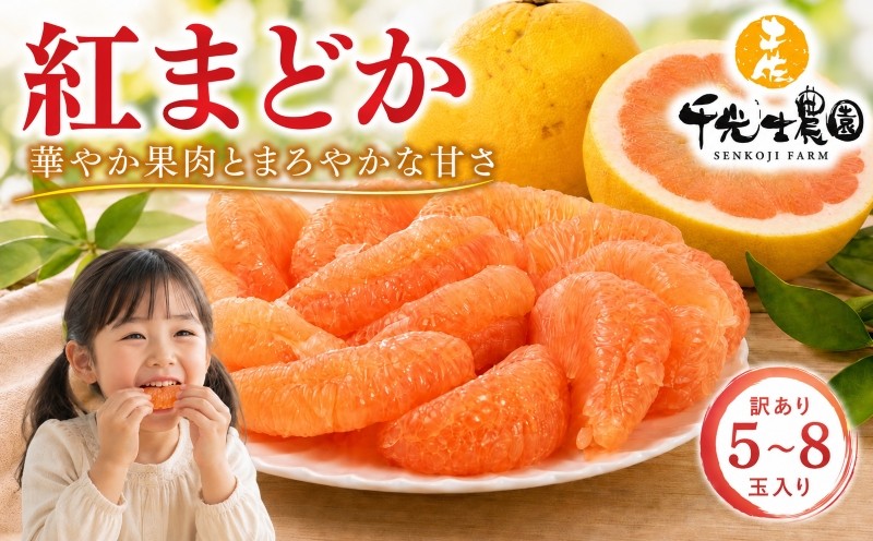 
                  【先行受付開始】 文旦 紅まどか 5～8玉入り｜訳あり 果物 高知特産 文旦 ぶんたん ブンタン 柑橘 フルーツ 爽やか 酸味 甘い 果汁 プリプリ食感 芳香 厳選 おいしい 美味しい 贈り物 ギフト 贈答用 旬 冬 春 順次発送 お取り寄せ 通販 南国土佐 安芸市 高知県
                