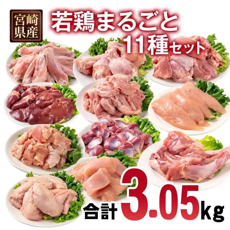 宮崎県産若鶏 11種 合計3.05kgセット 小分け もも肉 むね肉 筋なしささみ 砂肝等々 小分け 11パック＜70-8a＞