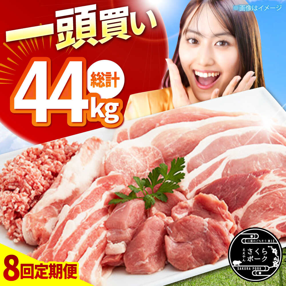 【ふるさと納税】【8回定期便】豚肉一頭買い 総計44kg ええやんさくらポーク 小林ファーム / 豚肉 一頭買い 豚 定期便 全部位 /亀山市/小林ファーム[AMAB064]