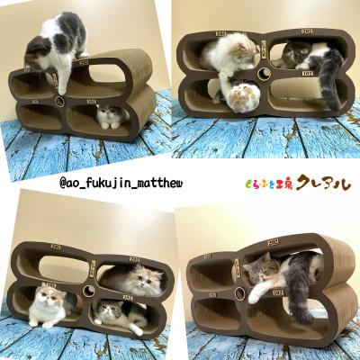ふるさと納税 常滑市 猫の爪とぎ　にゃん荘アパート【こげ茶】 |  | 02