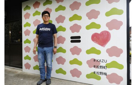 【松野町産 南高梅使用】「菓子工房KAZU」の1日1個 健康・梅生活セットB（４Lサイズ梅干し6個×5箱＋梅塩（50g）×1袋）