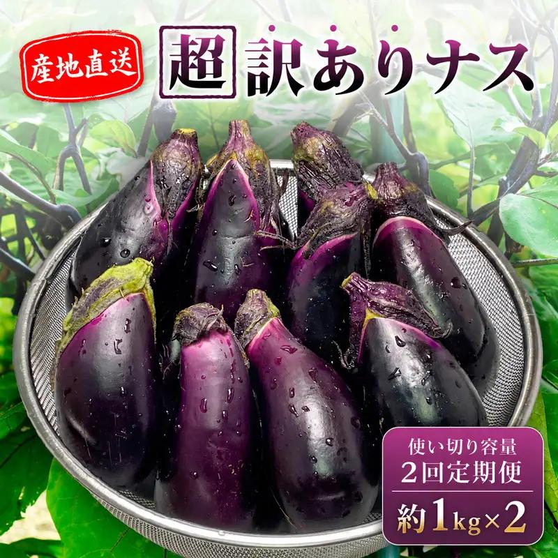 【先行受付】 【2回定期】 安田町産 「超」 訳あり ナス なす なすび 1kg×2回 YM1000