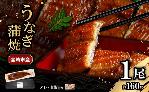 宮崎県宮崎市産　うなぎの蒲焼　約160g（約160g×1尾）タレ・山椒セット 国産 うなぎ 蒲焼き 1尾 鰻 ウナギ 蒲焼 うなぎ蒲焼 うなぎ蒲焼き タレ 山椒 冷凍 パック 電子レンジ レンジ ひつまぶし 鰻巻き 惣菜 お惣菜 おかず 化粧箱 化粧箱入り 父の日 母の日 丑の日 土用の丑の日 ギフト グルメ お取り寄せ